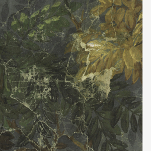 Sidewall (France), 1845–55