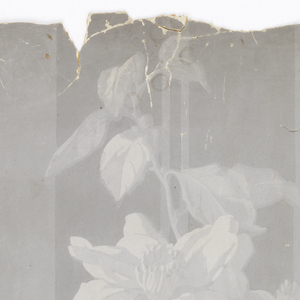 Sidewall (possibly France), 1900–25