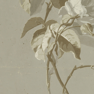 Sidewall (France), 1855–1900