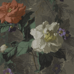 Sidewall, 1905–25