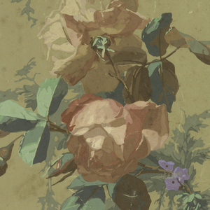 Sidewall (France), 1855–1900