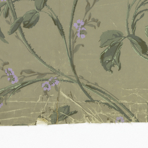Sidewall, 1905–25