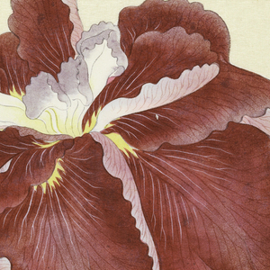 Print, Wings of the Lightning (Geischoni), No. 6, ca. 1910