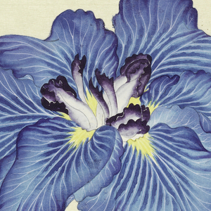 Print, Cloisonnée (Shippo), No. 17, ca. 1910