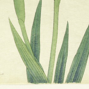 Print, The Pride of Yedo (Yedo-Jiman), No. 25, ca. 1910