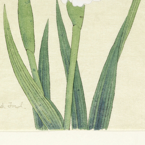 Print, The Faithful Wild Fowl (Kigaunomisao), No. 45, ca. 1910