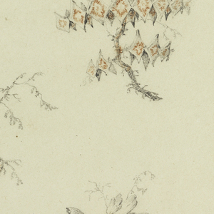 Drawing, Sprays of Seven ideal Flowers and of one quasi naturalistic flower, 1775–1800