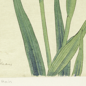 Print, Rain in May (Samidare), No. 47, ca. 1910