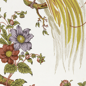 Sidewall (England), 1890–1925