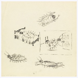 Drawing, Animated Beetles, 1945–50