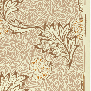 Sidewall, Apple, 1877