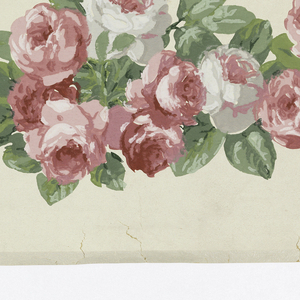 Border (England), 1900–25