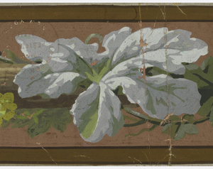 Border (USA), 1905–24
