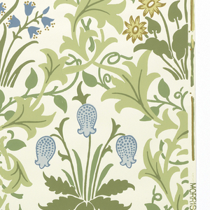 Sidewall, Celandine, 1872–82