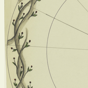 Drawing, Design for a plate