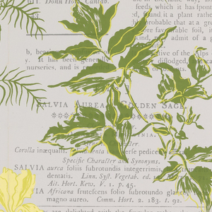 Sidewall, Pages, 1951–52