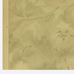 Sidewall (USA), 1920–40