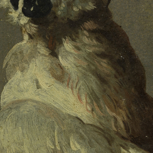 Drawing, A White-Brown Cockatoo, 1610–50
