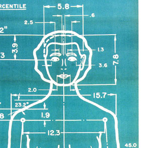 Posters, The Measure of Man (Male and Female), 1969 (first published 1959)