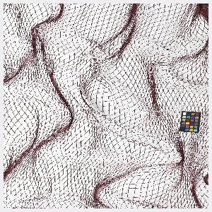 Fishing Net, Encircling Fishing Net, designed 1996, manufactured 2003