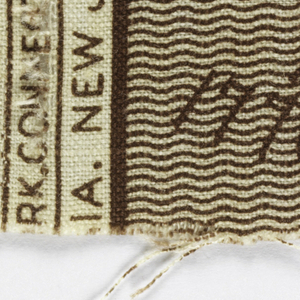 Fragment (USA), 1876