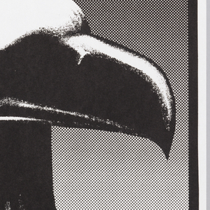 Poster, PLUCK 