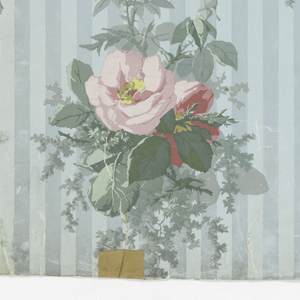 Sidewall, 1905–25