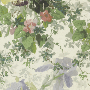 Sidewall, 1905–25