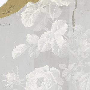 Sidewall, 1900–25
