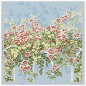 Sidewall (USA), 1890–1920