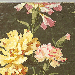 Sidewall, 1905–25