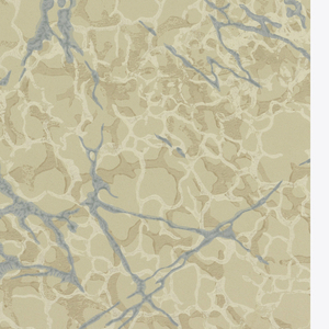 Sidewall (France), 1900–30