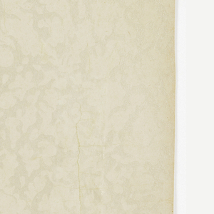 Ceiling Paper (USA), 1900–25