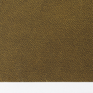 Sidewall (possibly USA), 1875–1920