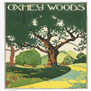 Poster, Oxhey Woods, 1915