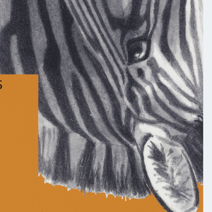 Poster, Wissenschaftliches Zeichnen, ca. 1990