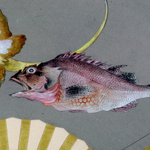 Drawing (Japan)