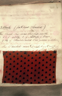 Dyer's Record Book (USA)