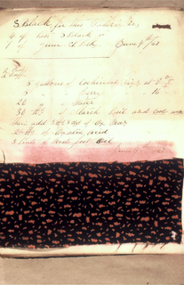 Dyer's Record Book (USA)