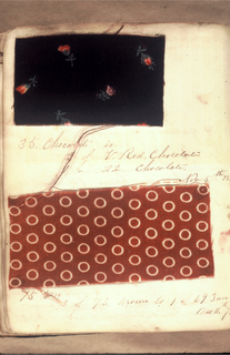 Dyer's Record Book (USA)