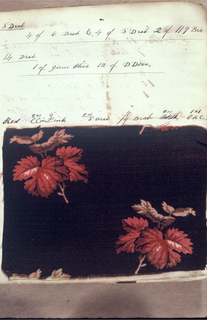 Dyer's Record Book (USA)