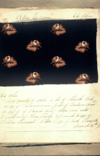 Dyer's Record Book (USA)
