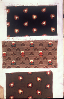 Dyer's Record Book (USA)