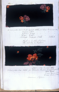 Dyer's Record Book (USA)