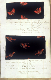 Dyer's Record Book (USA)