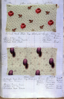 Dyer's Record Book (USA)