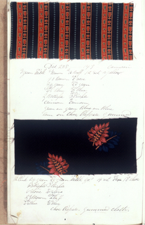 Dyer's Record Book (USA)