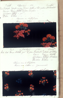 Dyer's Record Book (USA)