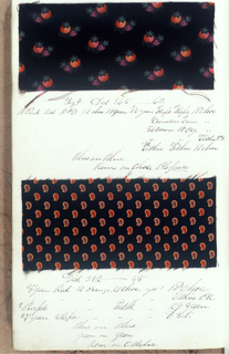 Dyer's Record Book (USA)