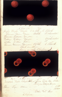 Dyer's Record Book (USA)